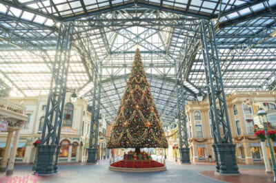 02-3.東京ディズニーランド　ワールドバザールのクリスマスツリー_md