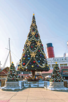 02-4.東京ディズニーシー　アメリカンウォーターフロントのクリスマスツリー_md