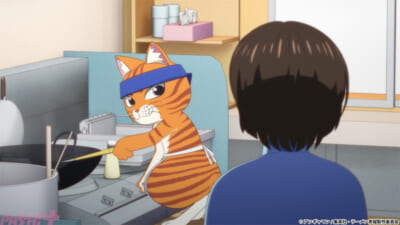 放送日5_赤猫#8コピーライト