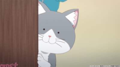 放送日2_赤猫#11コピーライト