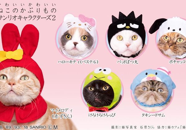 サンリオキャラクターズの ねこのかぶりもの 第2弾が登場 マイメロディ 赤ずきん ハローキティ パステル バッドばつ丸など全6種 Pash Plus